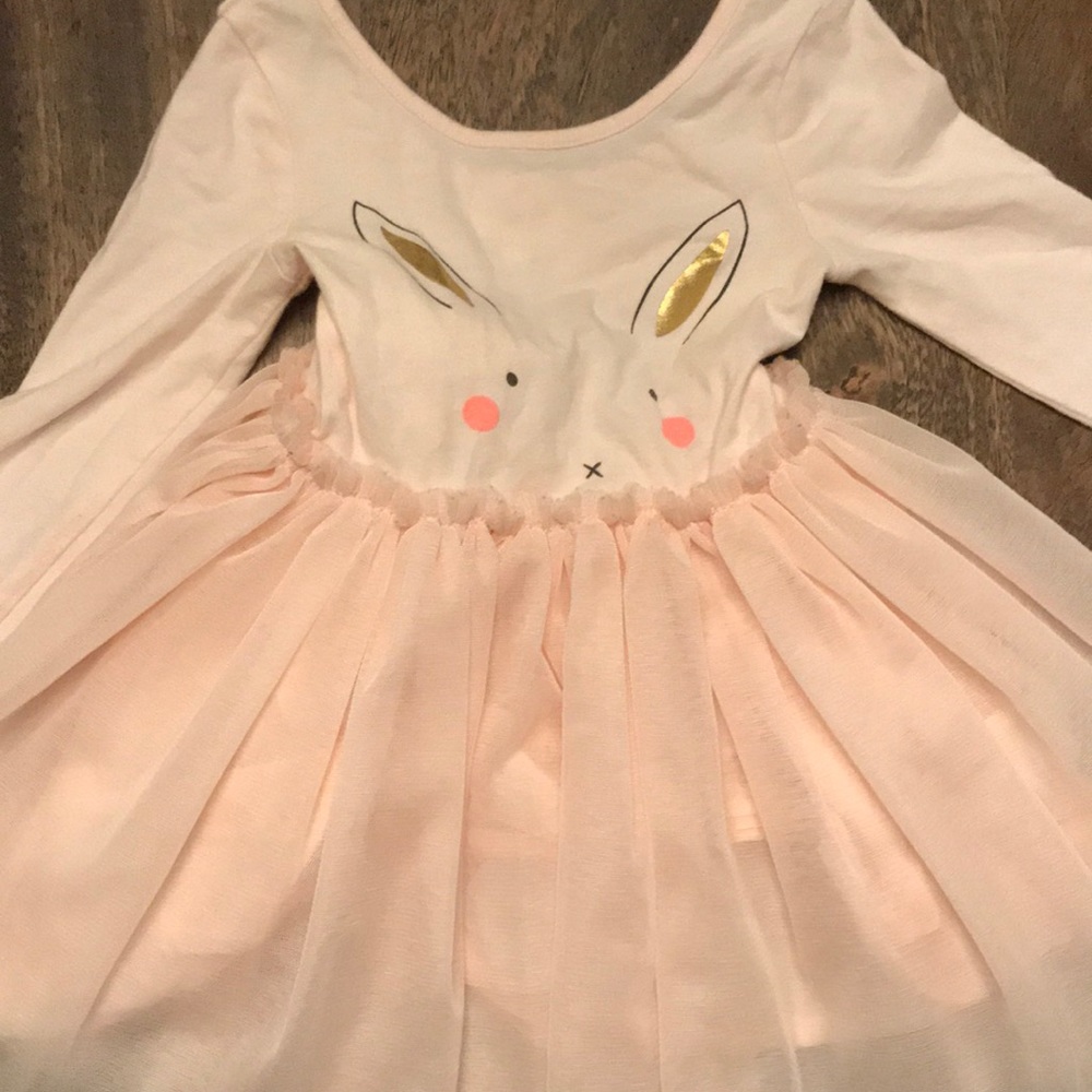 Glamourous Tutu and a bunny Tutu dress!